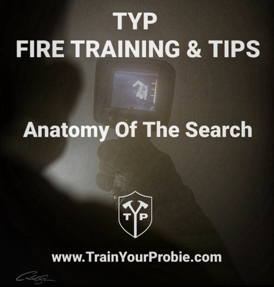 Anatomy Of The Search