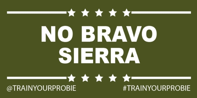 No B.S. Helmet Sticker