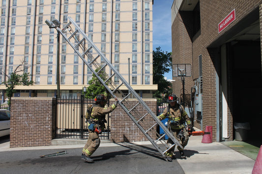 Ladder Raises