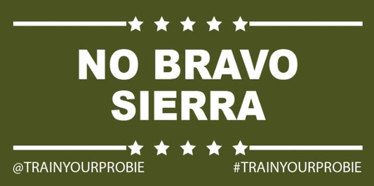 No B.S. Helmet Sticker
